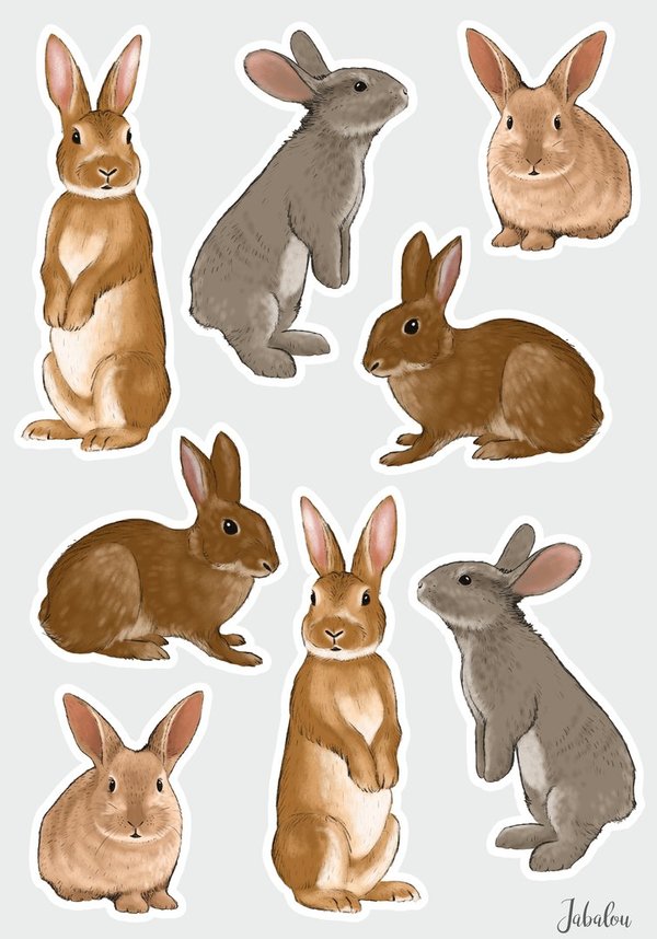 Aufkleber wasserfest Kaninchen / Hasen Sticker